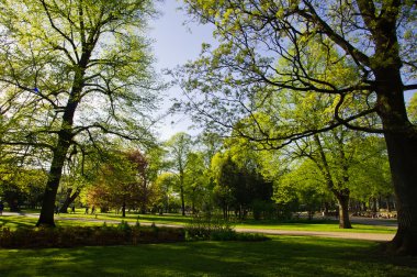 riga Park peyzaj