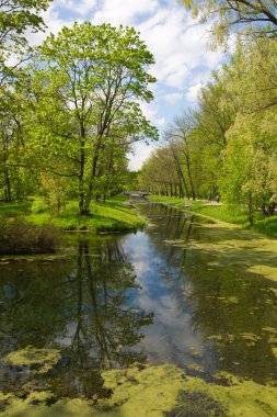 Catherine Puşkin city park