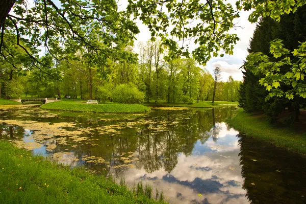 Lago da natureza no parque da cidade — Fotografia de Stock