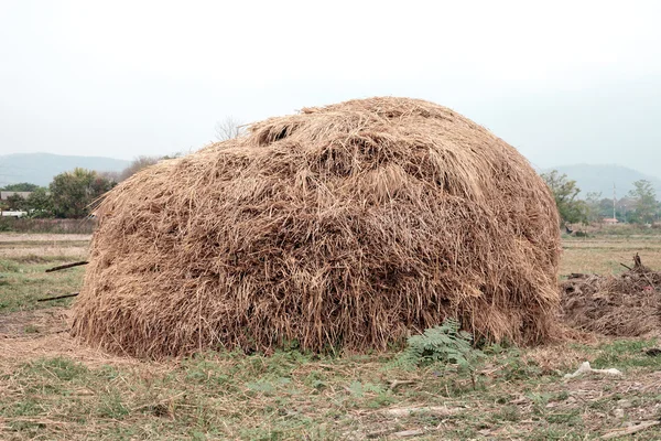 stock image Haystack