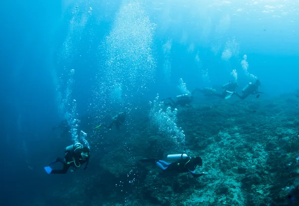 Grupo de mergulhadores — Fotografia de Stock