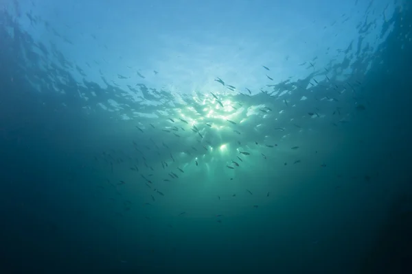 Onderwater zonsopgang — Stockfoto