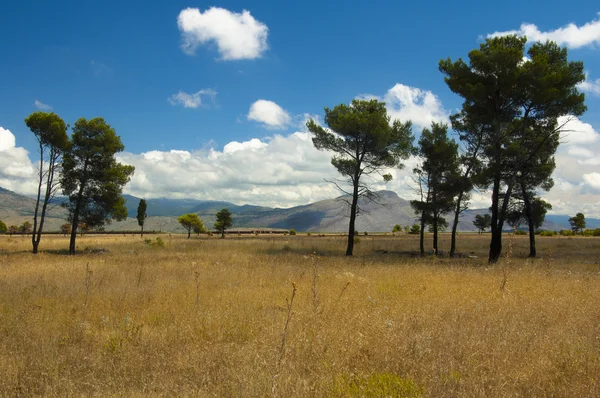 Montenegro поле травы деревьев горные облака желто-голубой и Лицензионные Стоковые Изображения