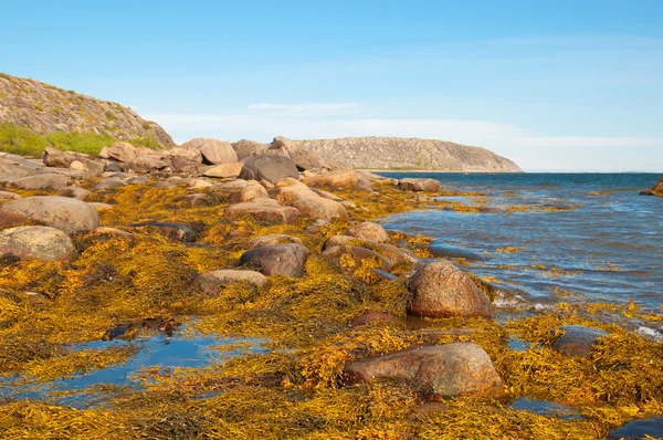 stock image Islands of the White sea