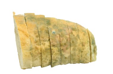 Mouldy bread clipart