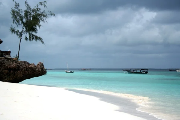Zanzibar strand - Stock-foto
