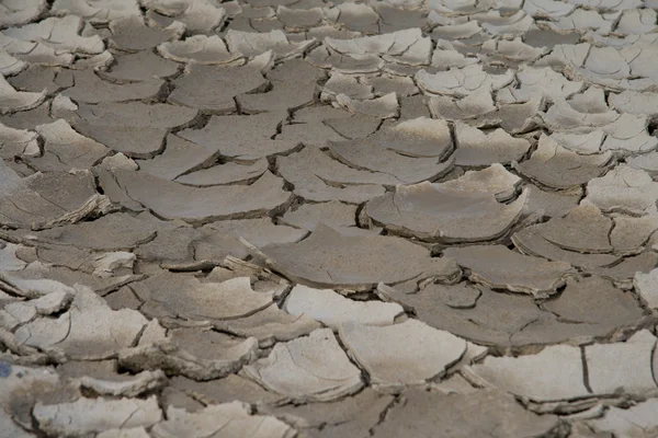 stock image Dry River