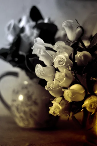 鲜花、 玫瑰 — 图库照片