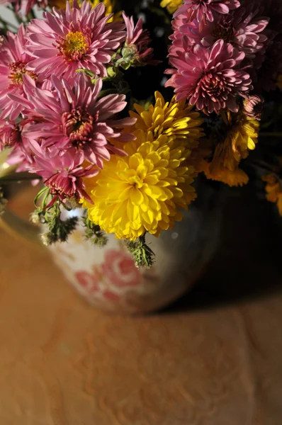 Květiny, Astry angliae Stock Fotografie