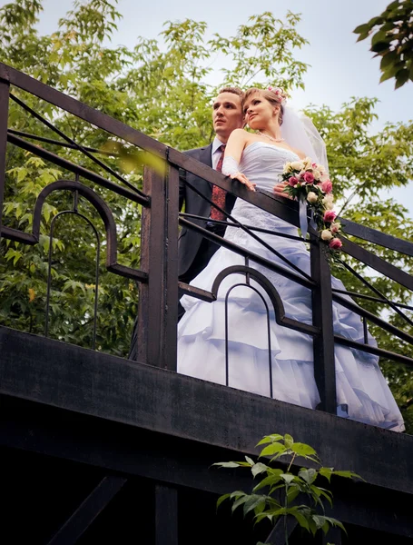 Bride and groom are looking into the distance — Stock Photo, Image