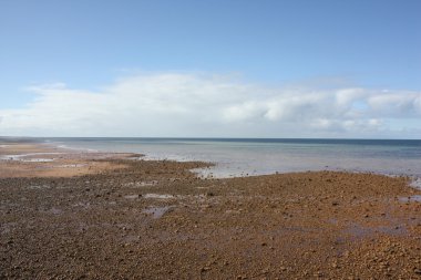 Along the coast of Stansbury, South Australia clipart