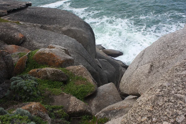 Kayalık sahil şeridi — Stok fotoğraf