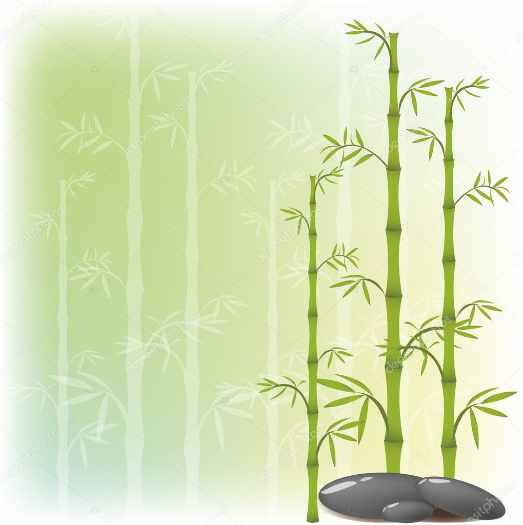 A bamboo and stone