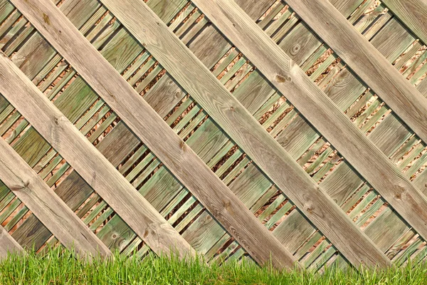 Un patio trasero soleado agradable con hierba verde y una cerca de madera agradable . — Foto de Stock