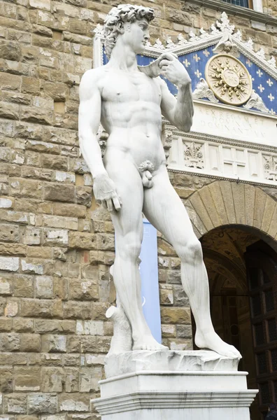 Michelangelo'nun David