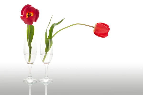 Tulipanes en un vaso — Foto de Stock