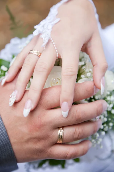stock image Hands of bride and groom
