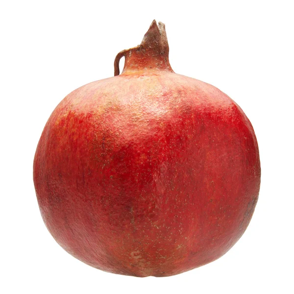 Stock image Pomegranate