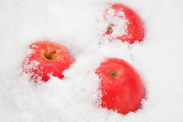 Apples in the snow — Stock Photo, Image
