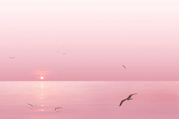 Рожевий захід сонця — стокове фото