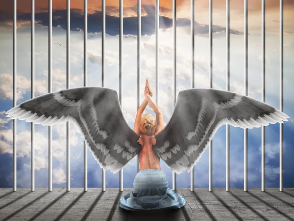 Angel in a cage — Stock Photo, Image