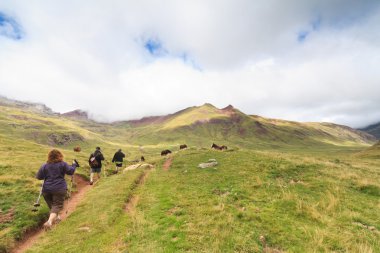 Trekking among the horses clipart