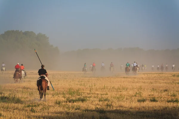 stock image Riders