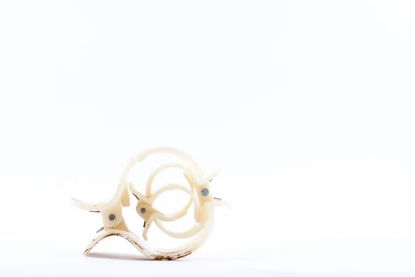 White hair clips — Stock Photo, Image