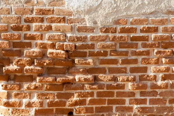 O Muro — Fotografia de Stock