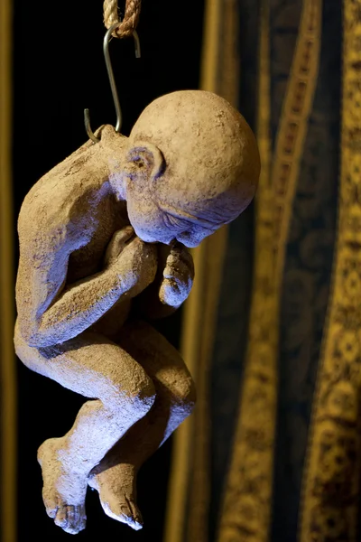 Asılı bebek — Stok fotoğraf