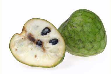 Cherimoya 19