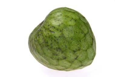 Cherimoya 18