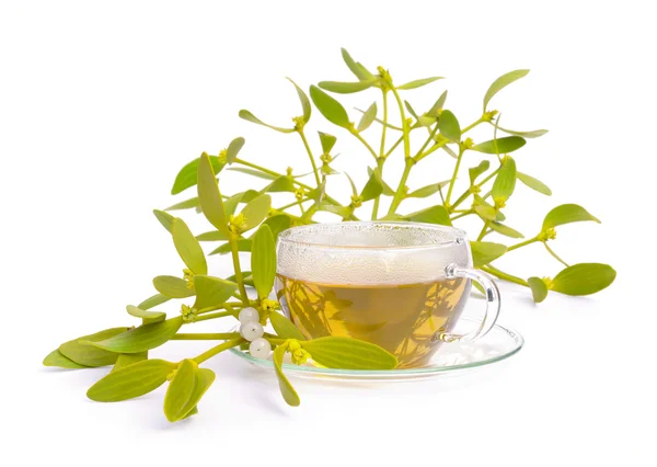 Tea mistletoe 04 — Stock Photo, Image