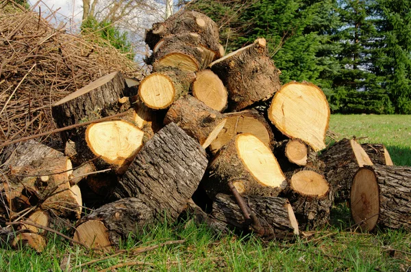 Stack av trä 31 — Stockfoto