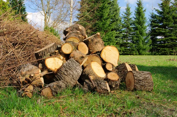 Stack av trä 30 — Stockfoto