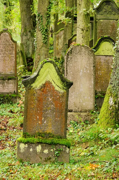Cemitério judaico 10 — Fotografia de Stock
