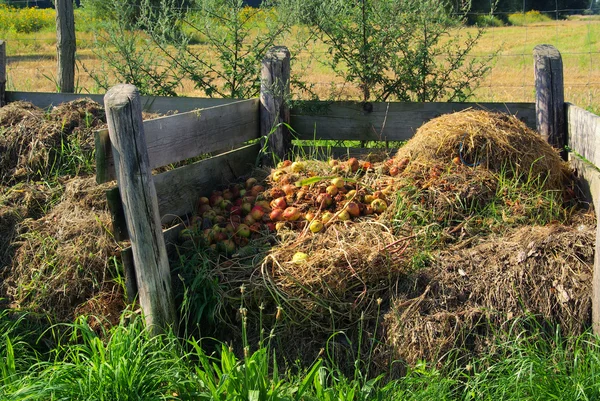 stock image Compost pile 09