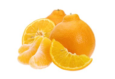 Minneola 01 clipart