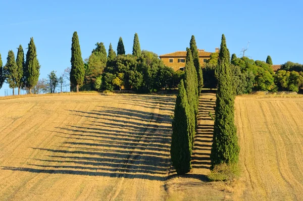 Podere in fall 21 — Stock Photo, Image
