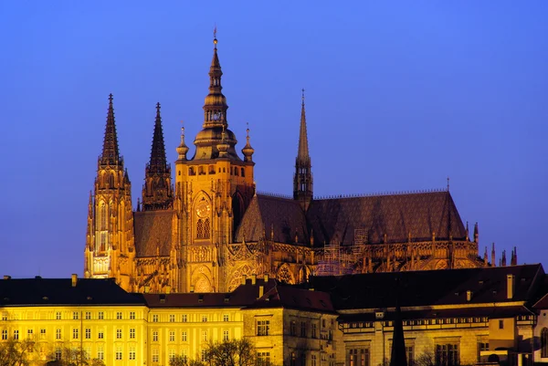 Praga cattedrale notte 01 — Foto Stock