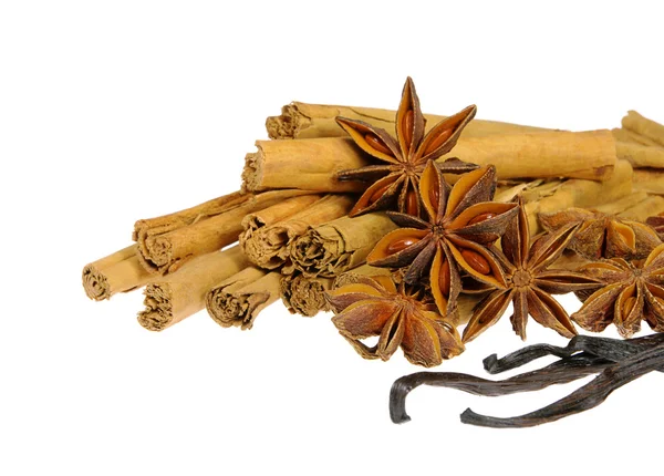 Cinnamon stick and star from anis 13 — Stock Photo, Image