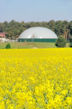 Biogas plant rape field 02 clipart