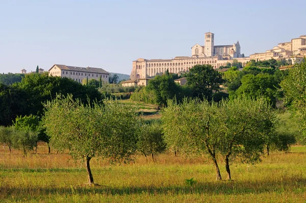 Assisi 09 — Stockfoto
