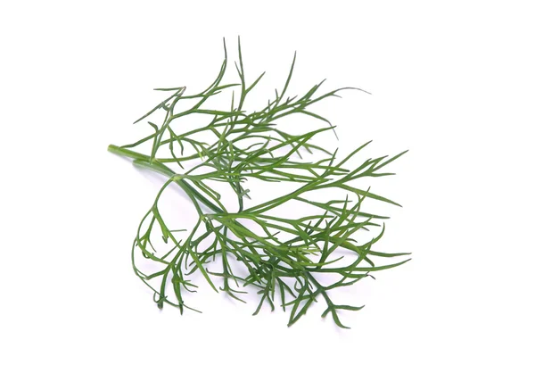 Dill isolated 02 — Stock Photo, Image