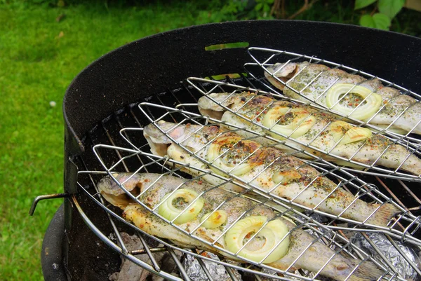 Grilling trout 07 — Stock Photo, Image