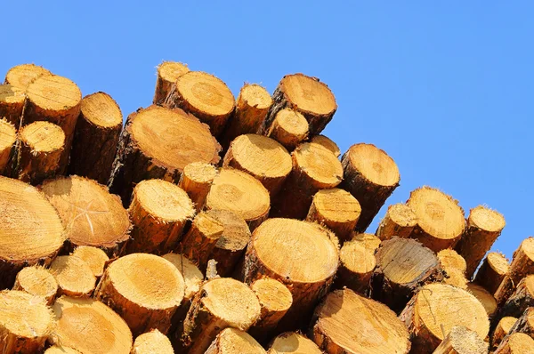 Stack av trä 35 — Stockfoto