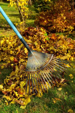 Leaves rake 03 clipart