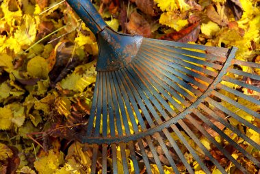 Leaves rake 04 clipart