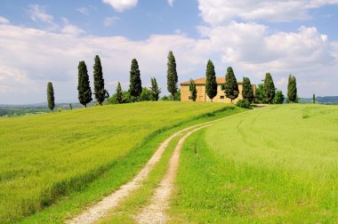 Tuscany house and Cypress trees clipart