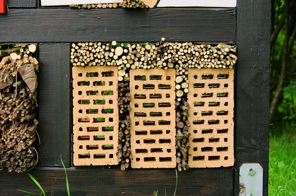 Insect hotel 06 — Stock Photo, Image
